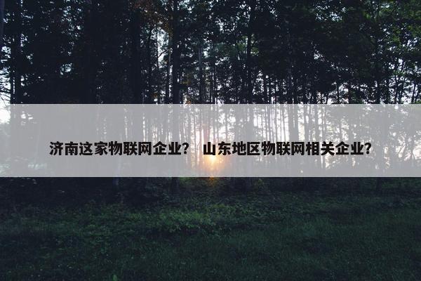 济南这家物联网企业？ 山东地区物联网相关企业？
