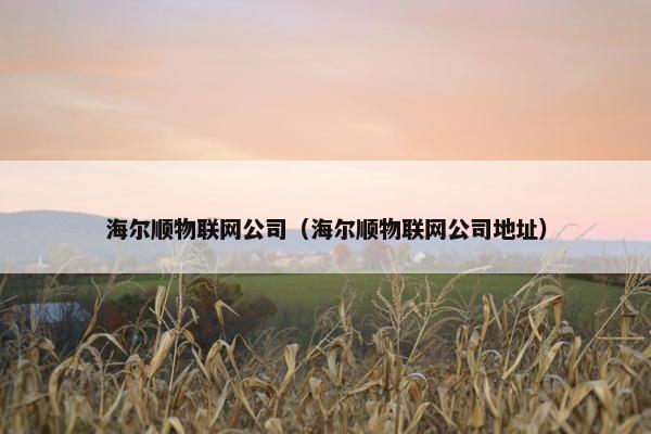 海尔顺物联网公司（海尔顺物联网公司地址）