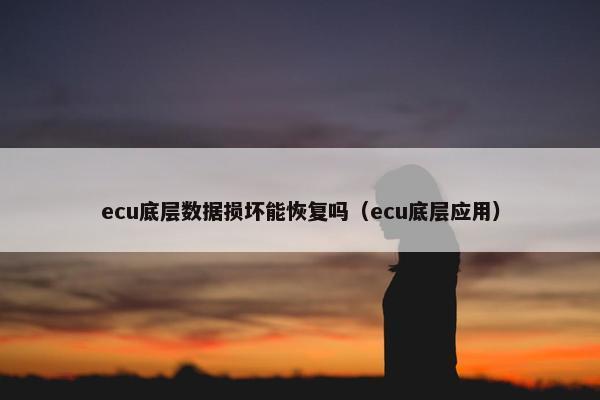 ecu底层数据损坏能恢复吗（ecu底层应用）