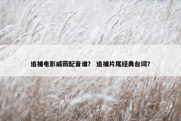 追捕电影戚薇配音谁？ 追捕片尾经典台词？