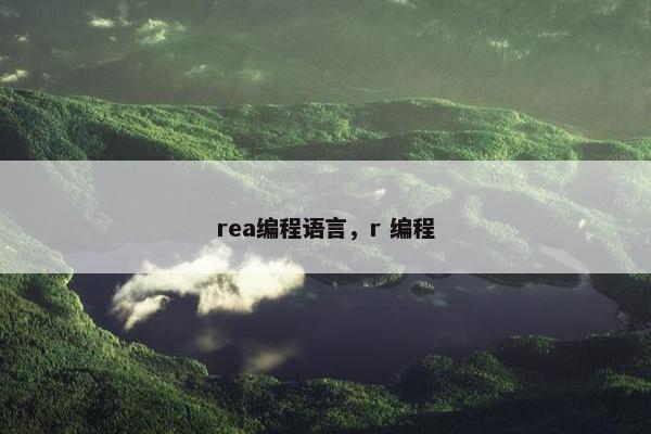 rea编程语言，r 编程