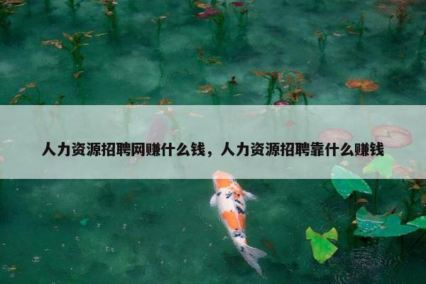 人力资源招聘网赚什么钱，人力资源招聘靠什么赚钱