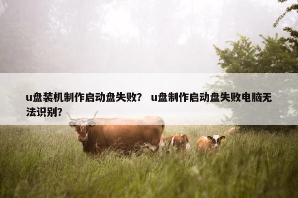 u盘装机制作启动盘失败？ u盘制作启动盘失败电脑无法识别？