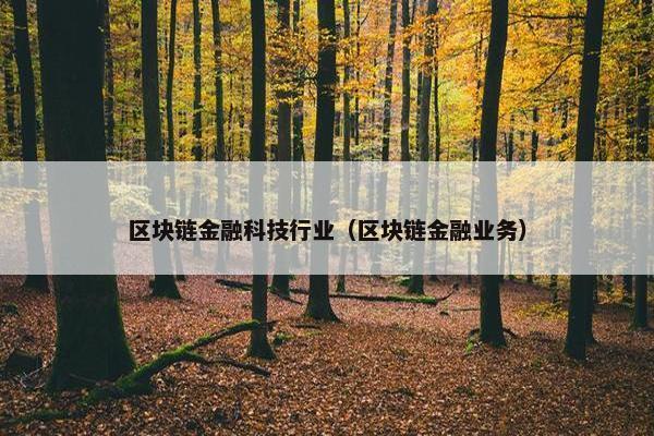 区块链金融科技行业（区块链金融业务）