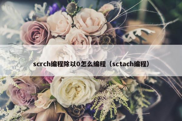scrch编程除以0怎么编程（sctach编程）
