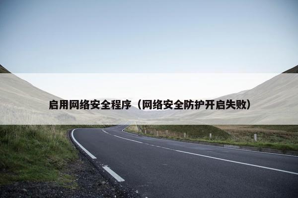 启用网络安全程序（网络安全防护开启失败）