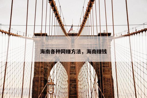 海南各种网赚方法，海南赚钱