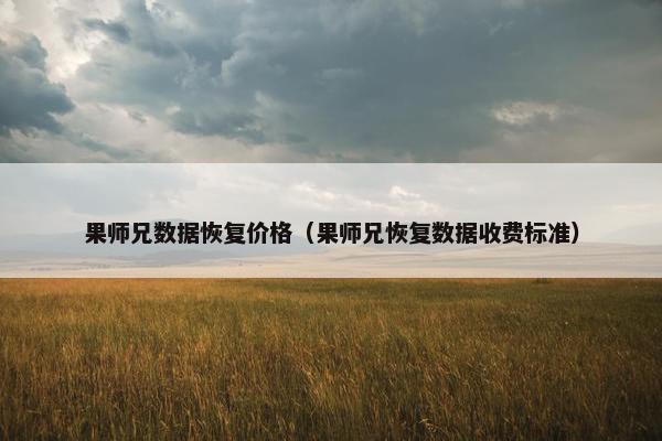 果师兄数据恢复价格（果师兄恢复数据收费标准）