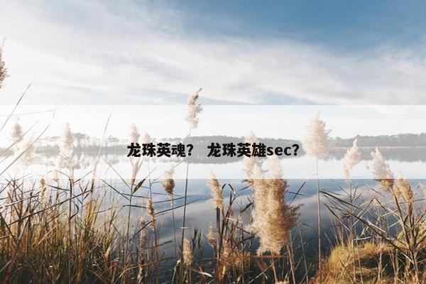 龙珠英魂？ 龙珠英雄sec？