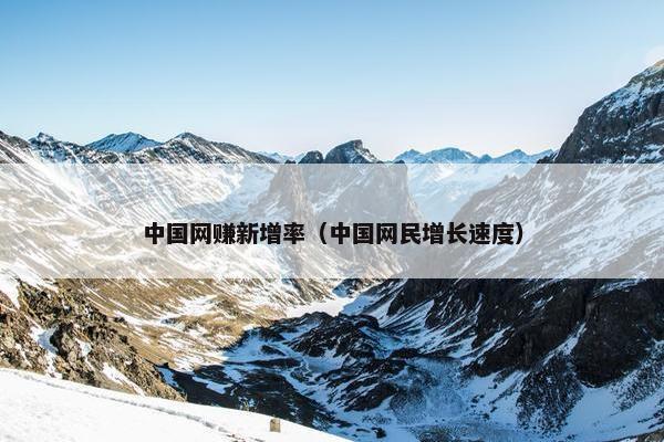 中国网赚新增率（中国网民增长速度）