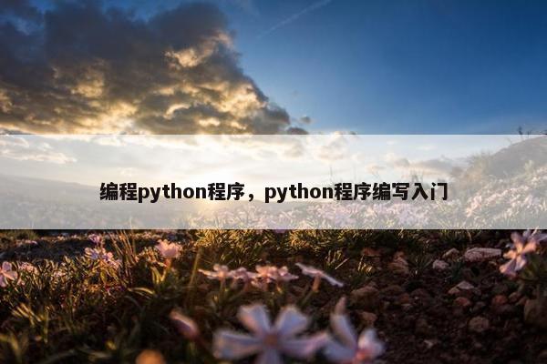 编程python程序，python程序编写入门