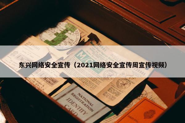 东兴网络安全宣传（2021网络安全宣传周宣传视频）