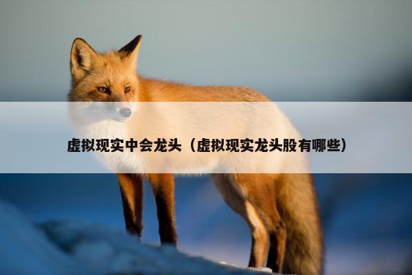 虚拟现实中会龙头（虚拟现实龙头股有哪些）