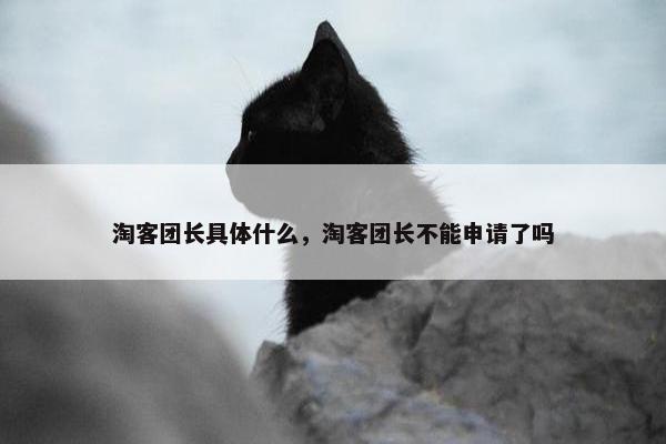 淘客团长具体什么，淘客团长不能申请了吗