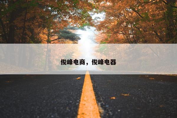 俊峰电商，俊峰电器