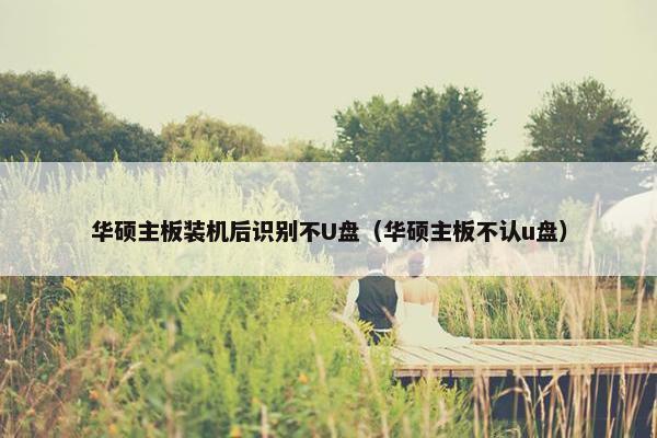 华硕主板装机后识别不U盘（华硕主板不认u盘）