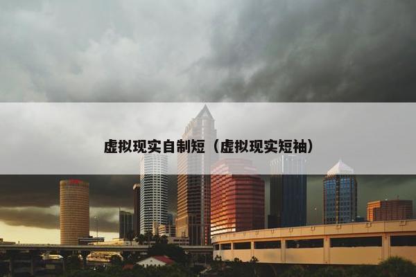 虚拟现实自制短（虚拟现实短袖）