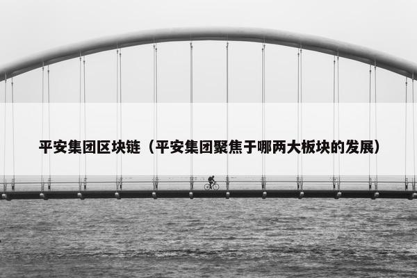平安集团区块链（平安集团聚焦于哪两大板块的发展）
