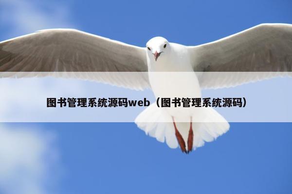 图书管理系统源码web（图书管理系统源码）