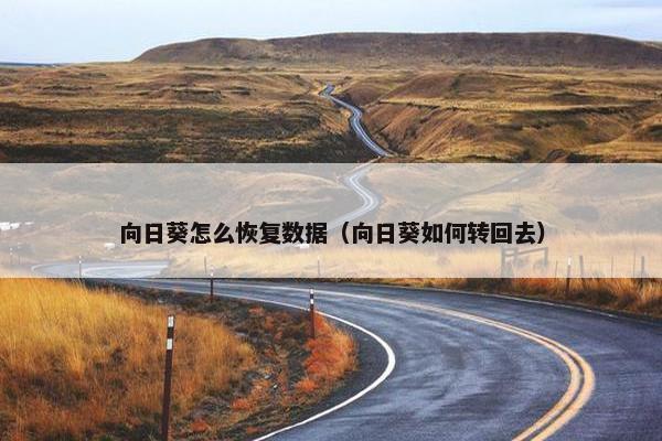 向日葵怎么恢复数据（向日葵如何转回去）