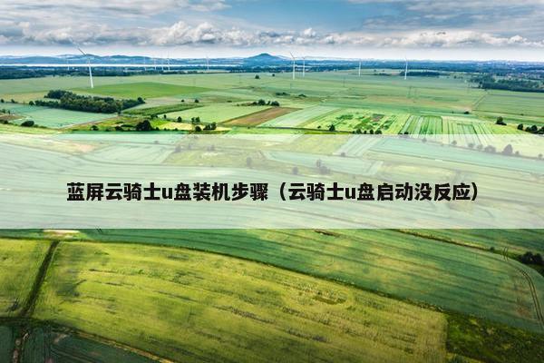 蓝屏云骑士u盘装机步骤（云骑士u盘启动没反应）