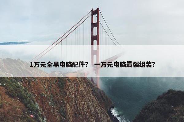 1万元全黑电脑配件？ 一万元电脑最强组装？
