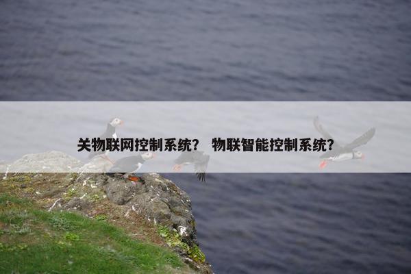 关物联网控制系统？ 物联智能控制系统？