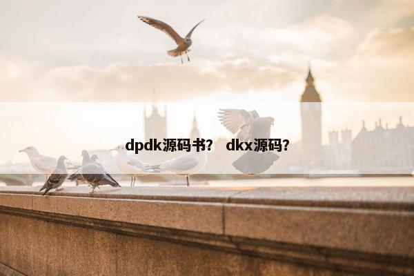 dpdk源码书？ dkx源码？