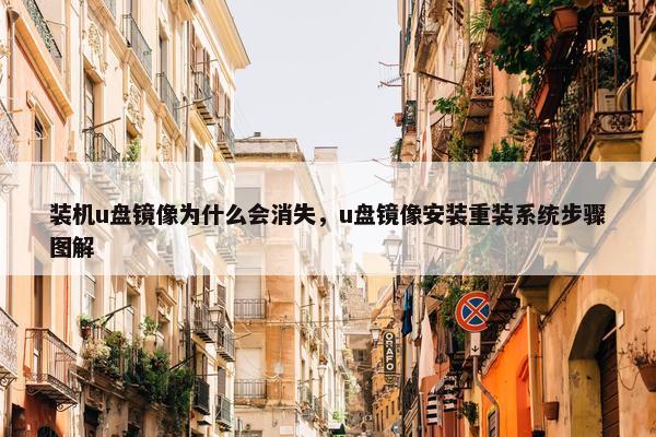 装机u盘镜像为什么会消失，u盘镜像安装重装系统步骤图解