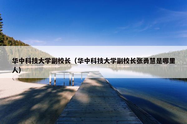 华中科技大学副校长（华中科技大学副校长张勇慧是哪里人）