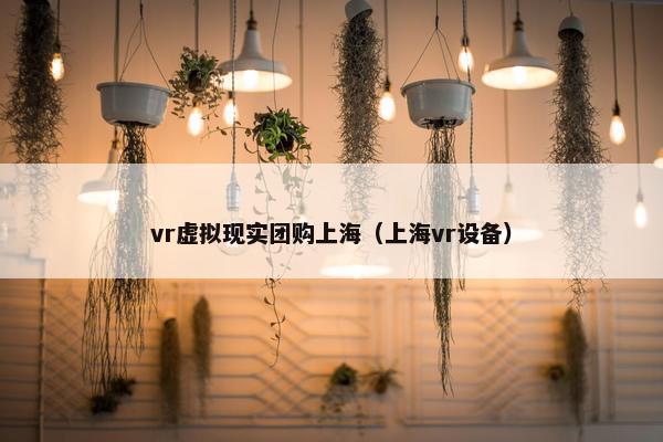 vr虚拟现实团购上海（上海vr设备）