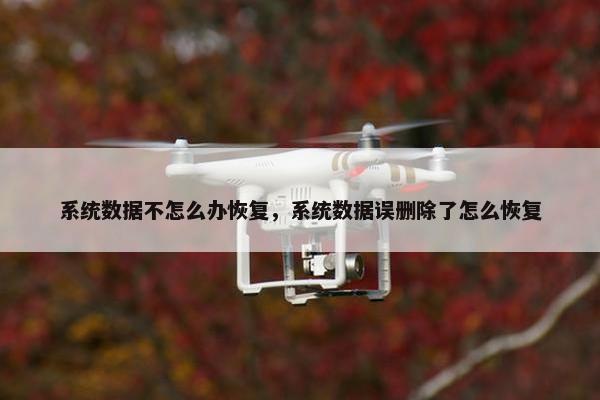 系统数据不怎么办恢复，系统数据误删除了怎么恢复