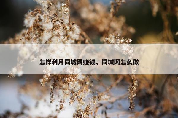 怎样利用同城网赚钱，同城网怎么做
