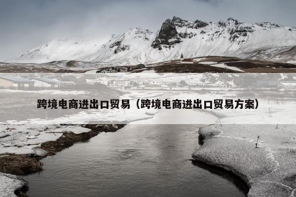 跨境电商进出口贸易（跨境电商进出口贸易方案）