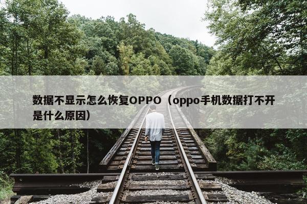 数据不显示怎么恢复OPPO（oppo手机数据打不开是什么原因）