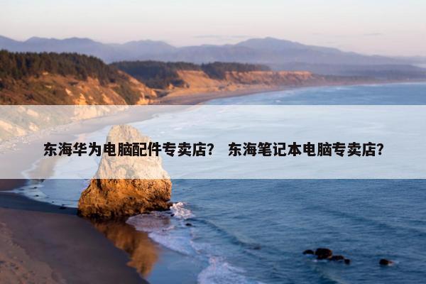 东海华为电脑配件专卖店？ 东海笔记本电脑专卖店？