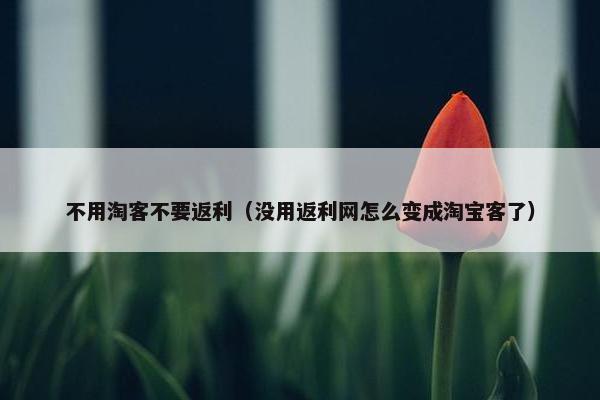 不用淘客不要返利（没用返利网怎么变成淘宝客了）