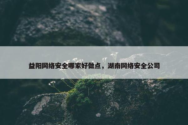 益阳网络安全哪家好做点，湖南网络安全公司