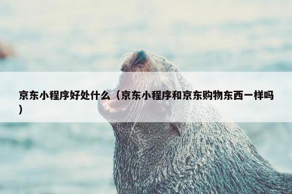 京东小程序好处什么（京东小程序和京东购物东西一样吗）