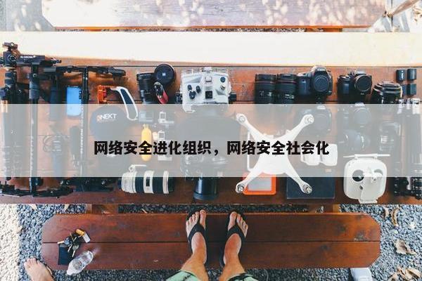 网络安全进化组织，网络安全社会化