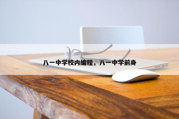 八一中学校内编程，八一中学前身