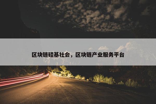 区块链硅基社会，区块链产业服务平台