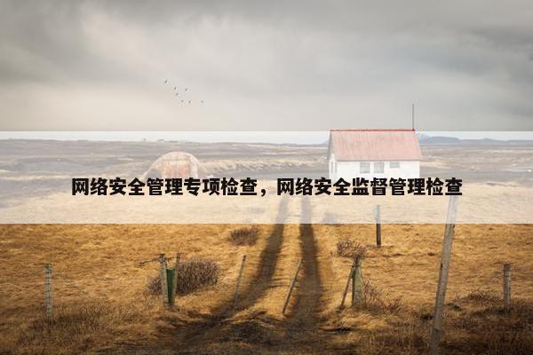 网络安全管理专项检查，网络安全监督管理检查