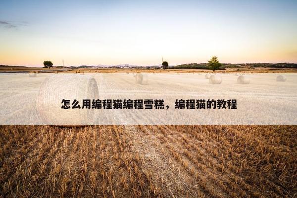 怎么用编程猫编程雪糕，编程猫的教程