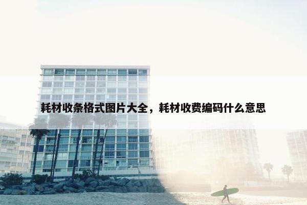 耗材收条格式图片大全，耗材收费编码什么意思