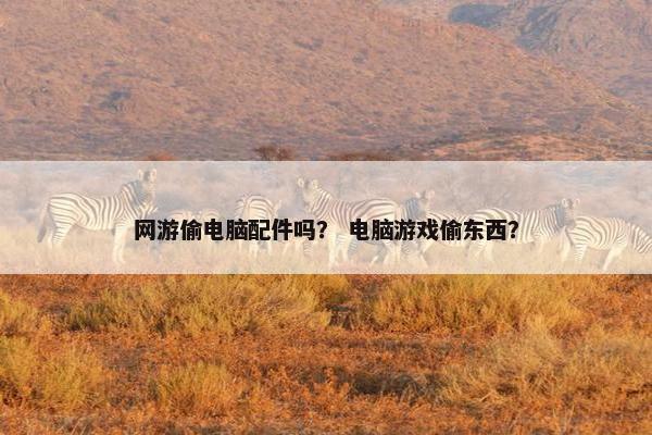 网游偷电脑配件吗? 电脑游戏偷东西?