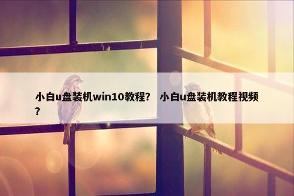 小白u盘装机win10教程? 小白u盘装机教程视频?