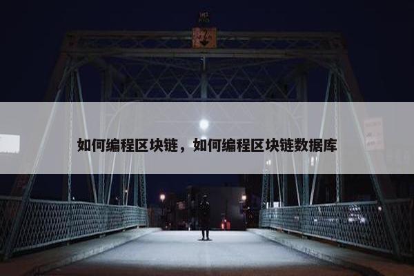 如何编程区块链，如何编程区块链数据库