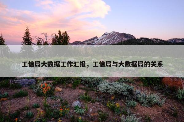 工信局大数据工作汇报，工信局与大数据局的关系