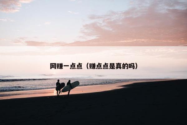 网赚一点点（赚点点是真的吗）